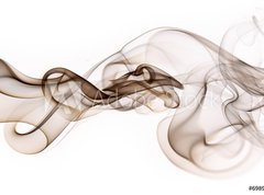 Samolepka flie 270 x 200, 6989452 - Smoke