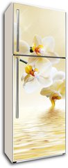 Samolepka na lednici fólie 80 x 200, 69934293 - Beautiful white orchid - Krásná bílá orchidej