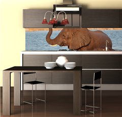 Fototapeta do kuchyně fólie 260 x 60, 70143412 - Elephant in water, Etosha National Park - Slon ve vodě, národní park Etosha
