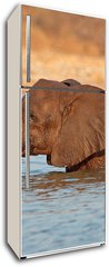 Samolepka na lednici flie 80 x 200, 70143412 - Elephant in water, Etosha National Park