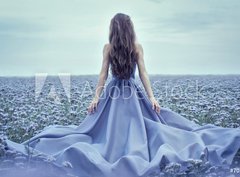 Fototapeta360 x 266  Back view of standing young woman in blue dress, 360 x 266 cm