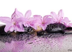 Samolepka flie 100 x 73, 70327716 - flowers and black stones with reflection