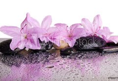Fototapeta pltno 174 x 120, 70327716 - flowers and black stones with reflection