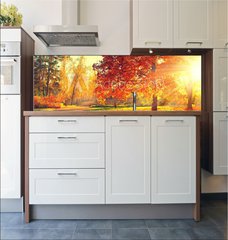 Fototapeta do kuchyn flie 180 x 60, 70441318 - Autumn scene. Fall. Trees and leaves in sun light