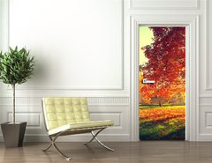 Samolepka na dvee flie 90 x 220  Autumn scene. Fall. Trees and leaves in sun light, 90 x 220 cm