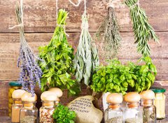 Fototapeta pltno 330 x 244, 70518876 - various fresh and dried herbs