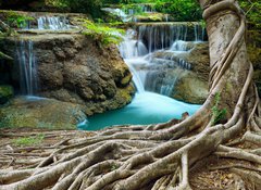 Fototapeta100 x 73  banyan tree and limestone waterfalls in purity deep forest use n, 100 x 73 cm