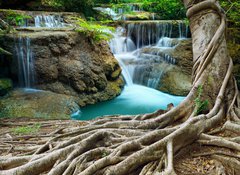 Samolepka flie 100 x 73  banyan tree and limestone waterfalls in purity deep forest use n, 100 x 73 cm