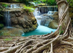 Samolepka flie 200 x 144, 70560072 - banyan tree and limestone waterfalls in purity deep forest use n - banyan strom a vpencov vodopdy v istot hlubok lesn vyuit n