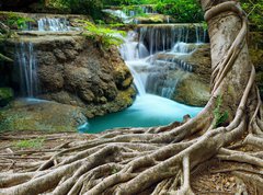 Samolepka flie 270 x 200  banyan tree and limestone waterfalls in purity deep forest use n, 270 x 200 cm