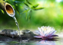 Fototapeta pltno 240 x 174, 70564979 - zen garden with massage stones and waterlily - zenov zahrady s masnmi kameny a vodnm lilkem