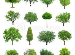 Samolepka flie 100 x 73, 70577212 - tree