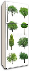 Samolepka na lednici flie 80 x 200, 70577212 - tree
