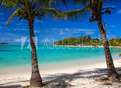 Samolepka flie 100 x 73  Mauritius, 100 x 73 cm