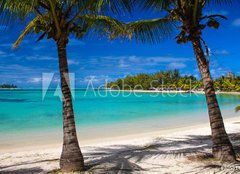 Fototapeta papr 254 x 184, 70581411 - Mauritius