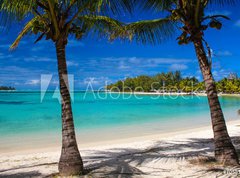Samolepka flie 270 x 200, 70581411 - Mauritius