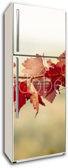 Samolepka na lednici fólie 80 x 200, 70603300 - Foglie di vite in autunno - Foglie di vite v autunně