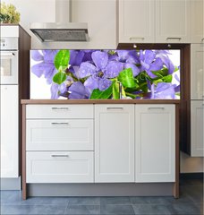 Fototapeta do kuchyn flie 180 x 60, 7068319 - Small violet of flower on white background
