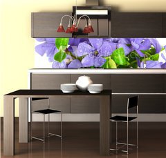 Fototapeta do kuchyně fólie 260 x 60, 7068319 - Small violet of flower on white background - Malá fialová květina na bílém pozadí