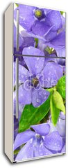 Samolepka na lednici flie 80 x 200, 7068319 - Small violet of flower on white background