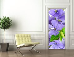 Samolepka na dvee flie 90 x 220, 7068319 - Small violet of flower on white background