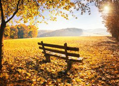 Fototapeta pltno 160 x 116, 70733197 - Herbstlandschaft mit Sonnenschein - Podzimn krajina se sluncem