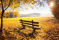 Fototapeta pltno 174 x 120, 70733197 - Herbstlandschaft mit Sonnenschein
