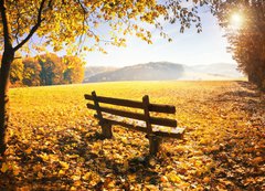Samolepka flie 200 x 144, 70733197 - Herbstlandschaft mit Sonnenschein