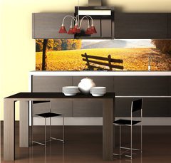 Fototapeta do kuchyn flie 260 x 60, 70733197 - Herbstlandschaft mit Sonnenschein