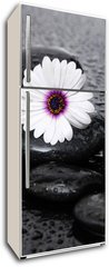 Samolepka na lednici flie 80 x 200  Macro of beautiful white gerbera with wet stones, 80 x 200 cm