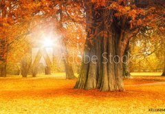 Samolepka flie 145 x 100, 71135258 - golden october - zlat jen
