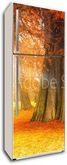 Samolepka na lednici fólie 80 x 200, 71135258 - golden october - zlatý říjen