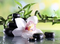Samolepka flie 100 x 73, 71191786 - Spa stones and white orchid on table on natural background