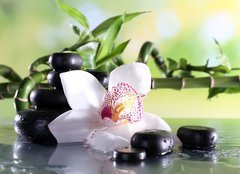 Fototapeta papr 160 x 116, 71191786 - Spa stones and white orchid on table on natural background