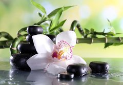 Fototapeta pltno 174 x 120, 71191786 - Spa stones and white orchid on table on natural background