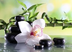 Samolepka flie 200 x 144, 71191786 - Spa stones and white orchid on table on natural background