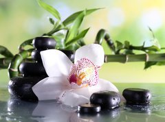 Samolepka flie 270 x 200, 71191786 - Spa stones and white orchid on table on natural background