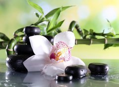 Fototapeta papr 360 x 266, 71191786 - Spa stones and white orchid on table on natural background