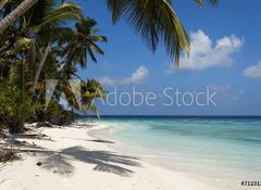 Fototapeta vliesov 100 x 73, 71231291 - tropical island palm sea and sky