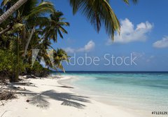 Fototapeta papr 184 x 128, 71231291 - tropical island palm sea and sky