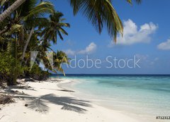 Samolepka flie 200 x 144  tropical island palm sea and sky, 200 x 144 cm