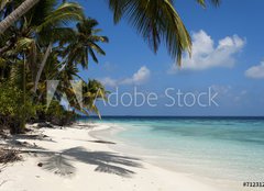 Fototapeta pltno 240 x 174, 71231291 - tropical island palm sea and sky