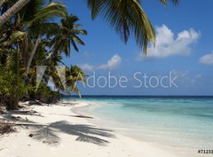 Fototapeta pltno 330 x 244, 71231291 - tropical island palm sea and sky