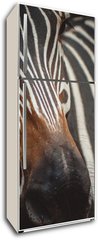 Samolepka na lednici flie 80 x 200  Zebra portrait in Prague Zoo, 80 x 200 cm