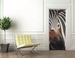 Samolepka na dvee flie 90 x 220, 71306384 - Zebra portrait in Prague Zoo