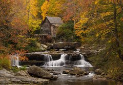 Samolepka flie 145 x 100, 72228379 - Autumn Splendor - Podzimn arm