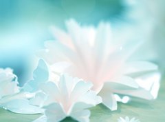 Fototapeta pltno 330 x 244, 72231283 - roses flower wedding valentine background