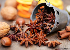 Samolepka flie 200 x 144, 72512517 - Weihnachtsgewrze