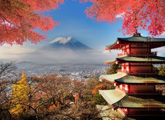 Fototapeta vliesov 100 x 73, 72848283 - Mt. Fuji with fall colors in Japan. - Mt. Fuji s jarnmi barvami v Japonsku.