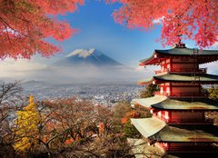 Fototapeta pltno 240 x 174, 72848283 - Mt. Fuji with fall colors in Japan. - Mt. Fuji s jarnmi barvami v Japonsku.